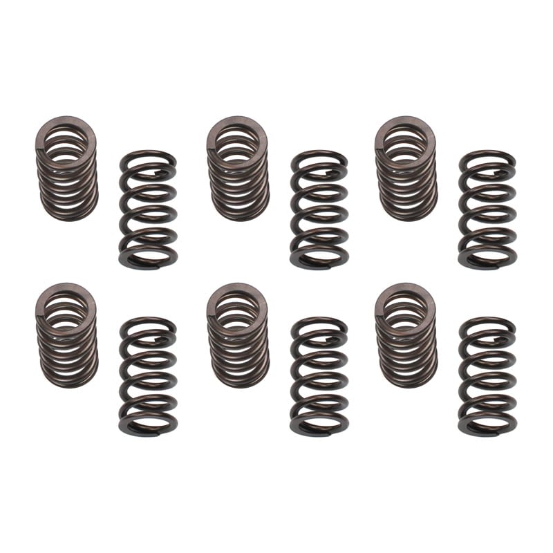 Industrial Injection 150 lbs. Valve Springs 89-98 5.9L 12 Valve Cummins