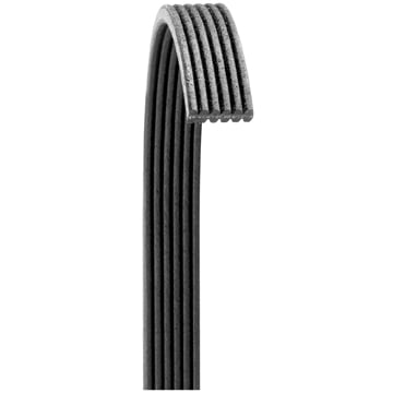 Dayco 8PKK3563 Serpentine Belt | Dual Alternators | 11-19 Ford SuperDuty 6.7L Powerstroke