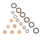BD 1075800 Injector Seal Kit 98.5-02 Dodge 5.9L Cummins