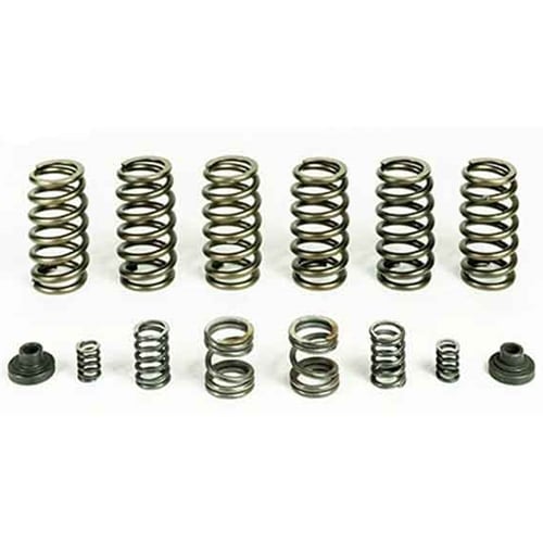 PacBrake HP10246 PacPro Spring Kit with 6 HD Valve Springs 94-98 Dodge 5.9L Cummins