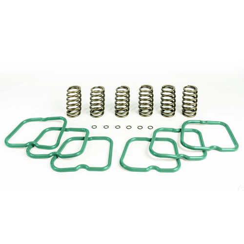 PacBrake HP10241 PacPro Basic Spring Kit (6 HD Valve Springs) 94-98 Dodge 5.9L Cummins