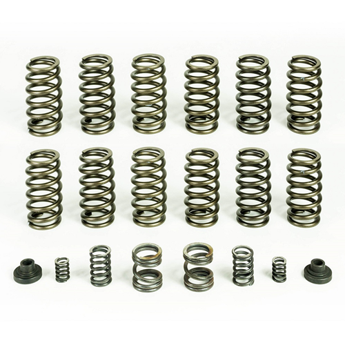PacBrake HP10245 PacPro Spring Kit with 12 HD Valve Springs 94-98 Dodge 5.9L Cummins