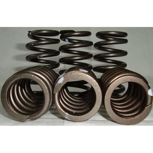 PacBrake 60 PSI Heavy Duty Exhaust Valve Springs 89-98 Dodge 5.9L Cummins 12V C14010