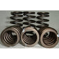 PacBrake 60 PSI Heavy Duty Exhaust Valve Springs 89-98 Dodge 5.9L Cummins 12V C14010