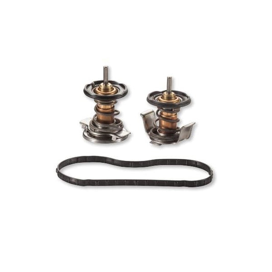 Alliant AP63498 Thermostat Kit 08-10 6.4L Ford Powerstroke