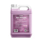 CDS Iron Remover Degreaser Concentrate