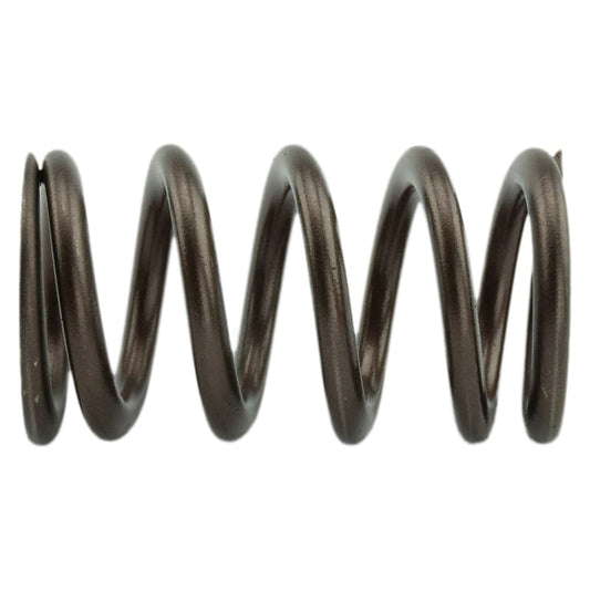Industrial Injection 95 lbs. Valve Springs 98.5-02 5.9L 24 Valve Cummins